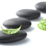 Spa Wellness Hof van Saksen korting