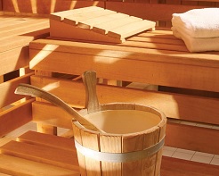 Sauna de Bron
