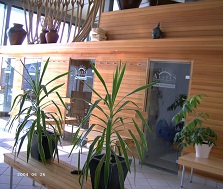 Sauna Aestas